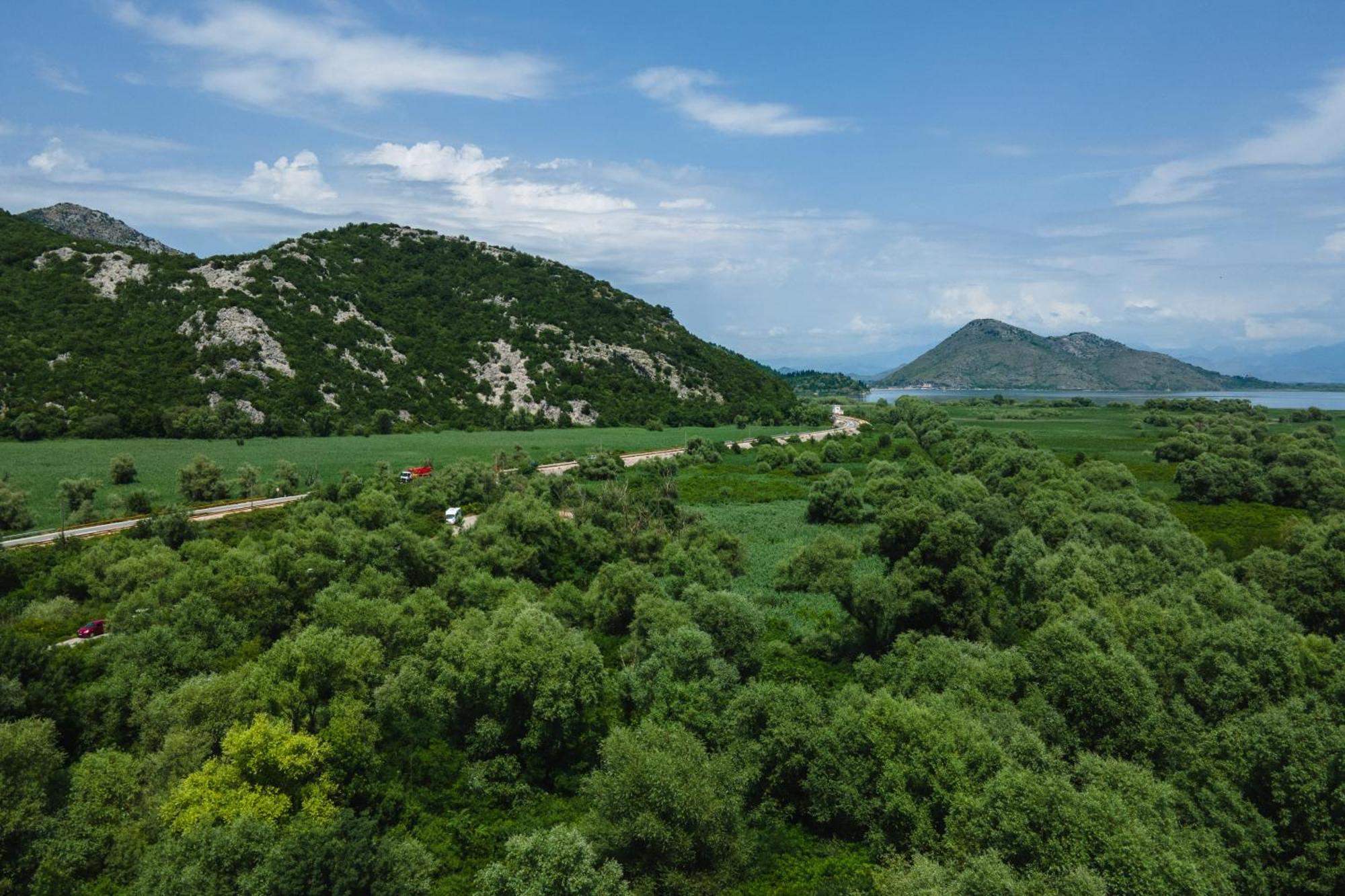 Green Hill 威尔帕扎 外观 照片